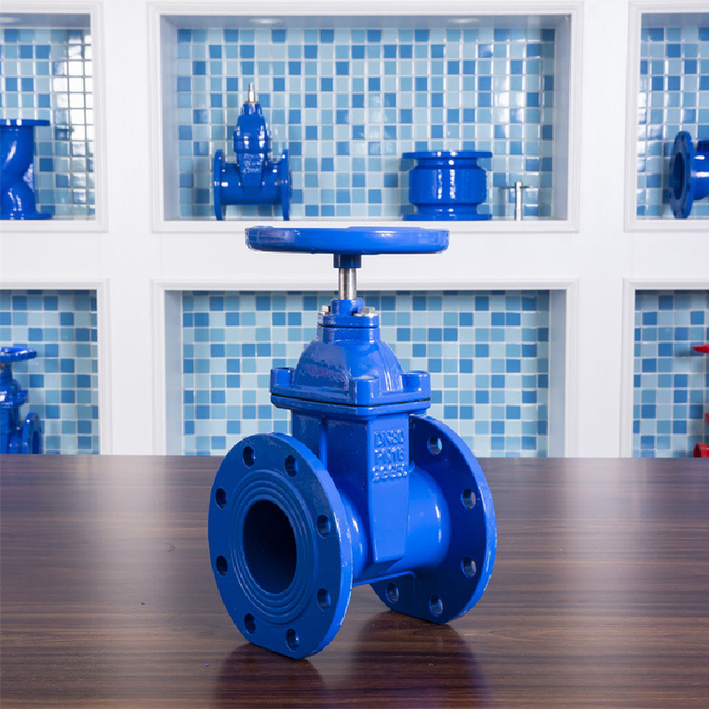 Gate Valves Saleの詳細をご覧ください